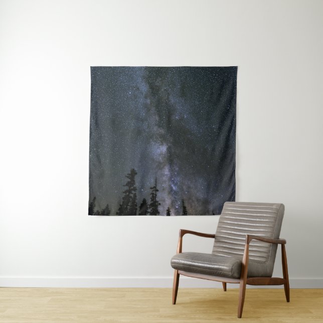 Tapiz Hermoso Cosmos (In situ)