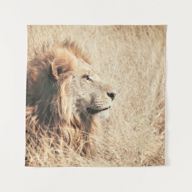 TAPIZ HERMOSO LEÓN (Anverso)