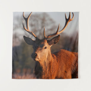 TAPIZ HI DEER