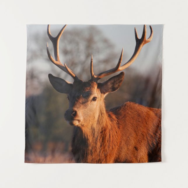 TAPIZ HI DEER (Anverso)