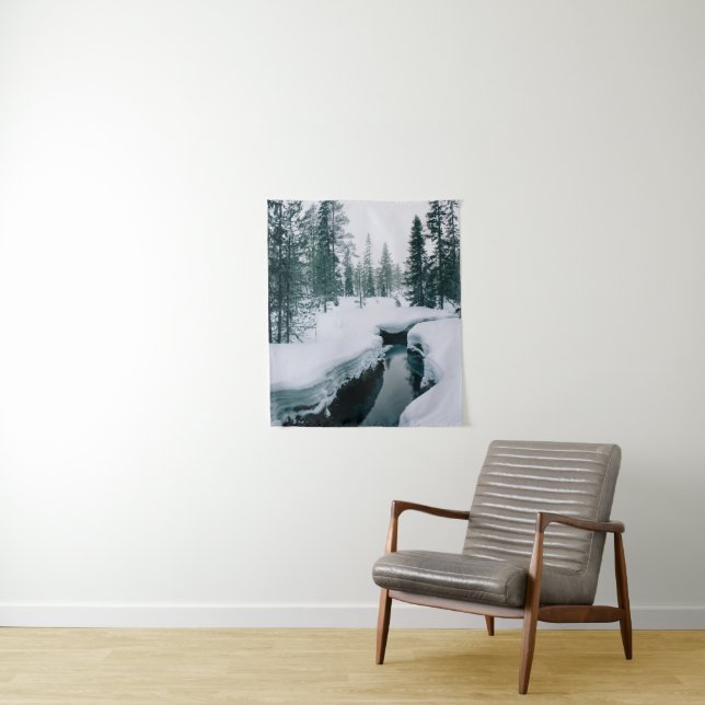 Tapiz Hielo y nieve | Secuencia en un paisaje invernal n (In situ)