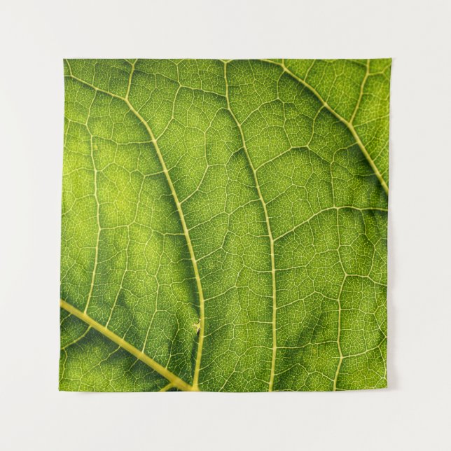Tapiz Hoja verde (Anverso)