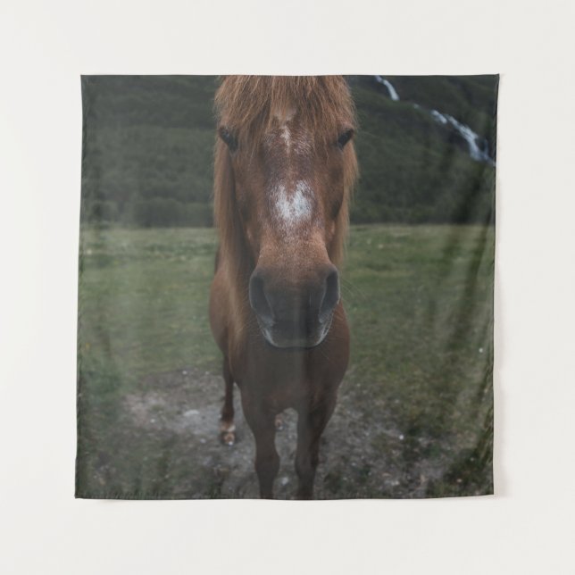 TAPIZ HOLA SOY UN CABALLO (Anverso)