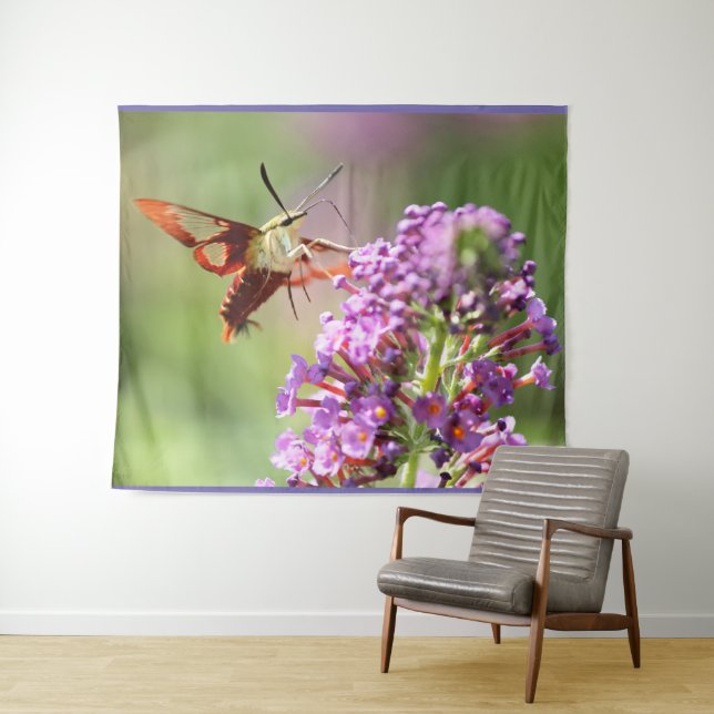 Tapiz Hummingbird Moth en una mariposa (In situ (horizontal))