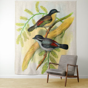 Tapiz impresión de aves de bonito