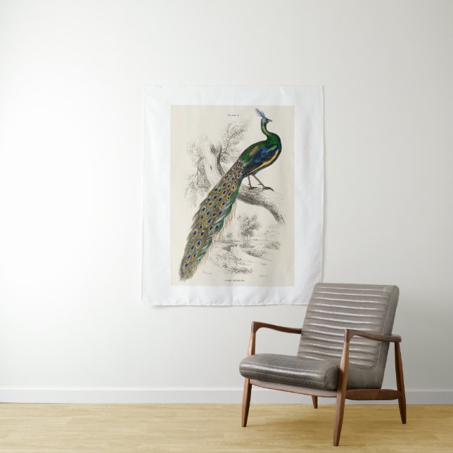 Tapiz Impresión de historial natural de pavo real (In situ)