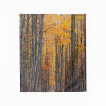 Impresionante bosque otoñal de oro