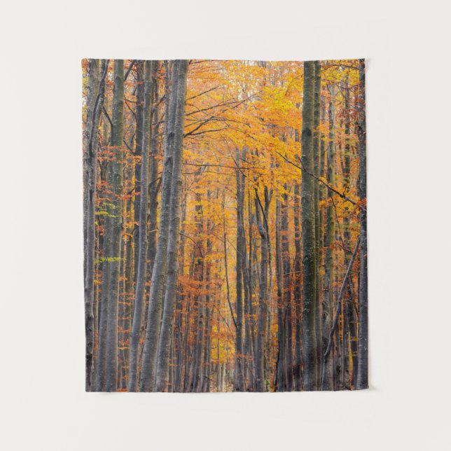 Tapiz Impresionante bosque otoñal de oro (Anverso)