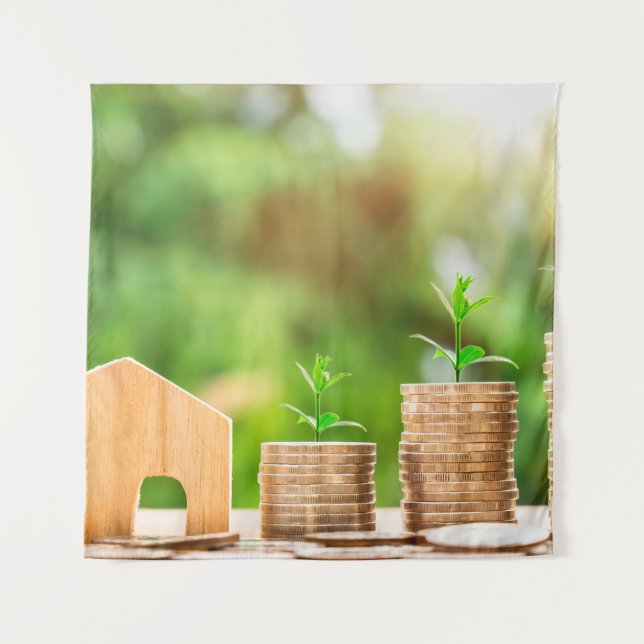 Tapiz Inversión en moneda nacional (Anverso)