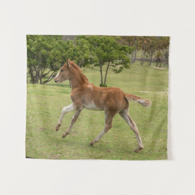 Tapiz Isla de Pascua o Rapa Nui (Anverso (horizontal))