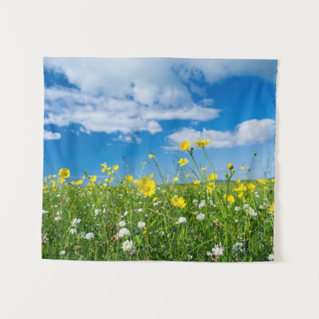 Tapiz isla de Sudamérica | Escocia (Anverso (horizontal))