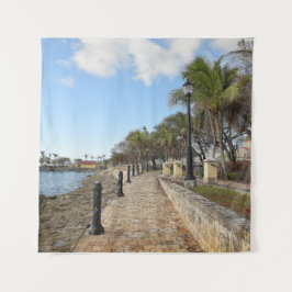 Tapiz Islas Vírgenes Frente al mar tropical San Croix US