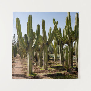 Tapiz Jardín Cacti, paisaje tropical del desierto.