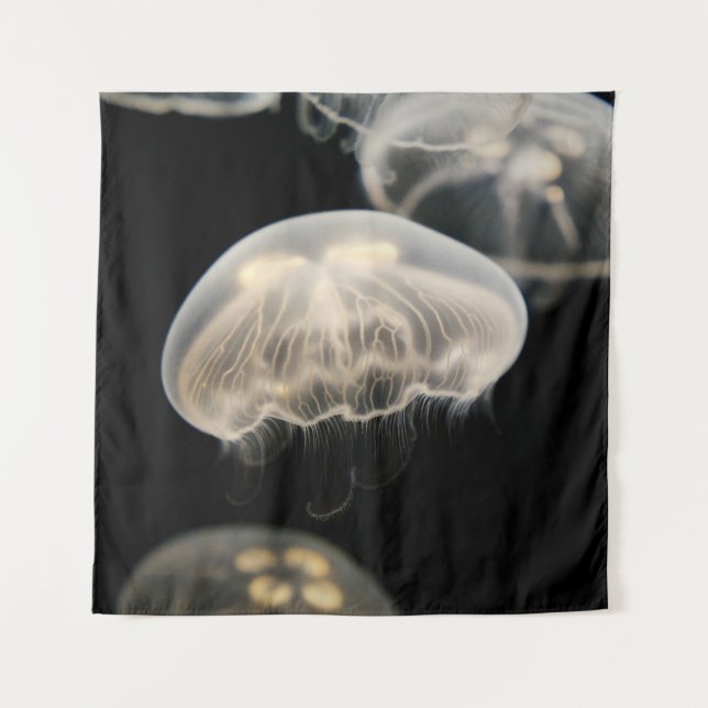 TAPIZ JELLYFISH BLANCO (Anverso)