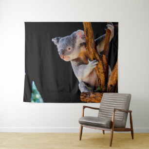 Tapiz Koala Cute en gris árbol