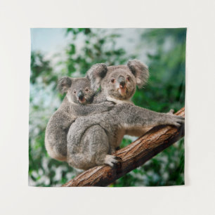 Tapiz Koala, phascolarctos cinereus, hembra que te lleva