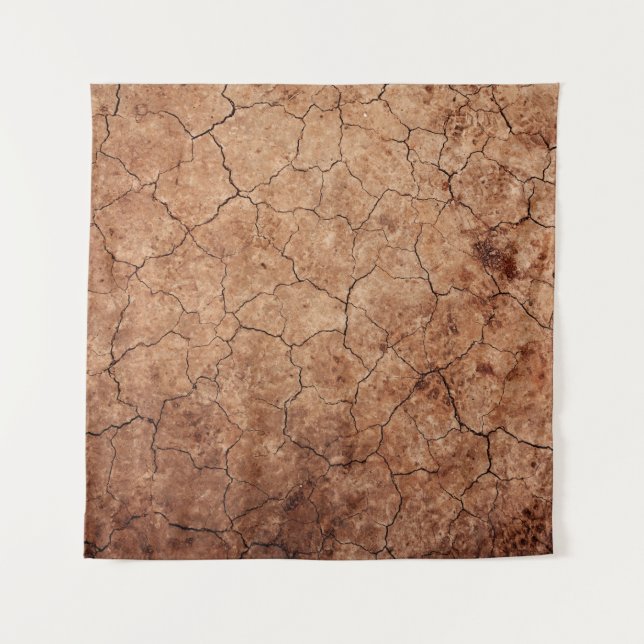 Tapiz La erosión árida rajada rompe el desierto (Anverso)