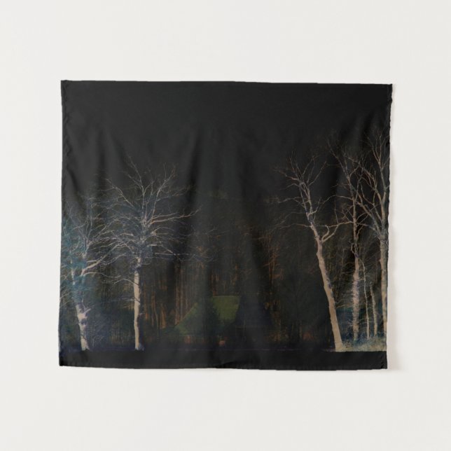 Tapiz Lado oscuro 4 wtcnm (Anverso (horizontal))