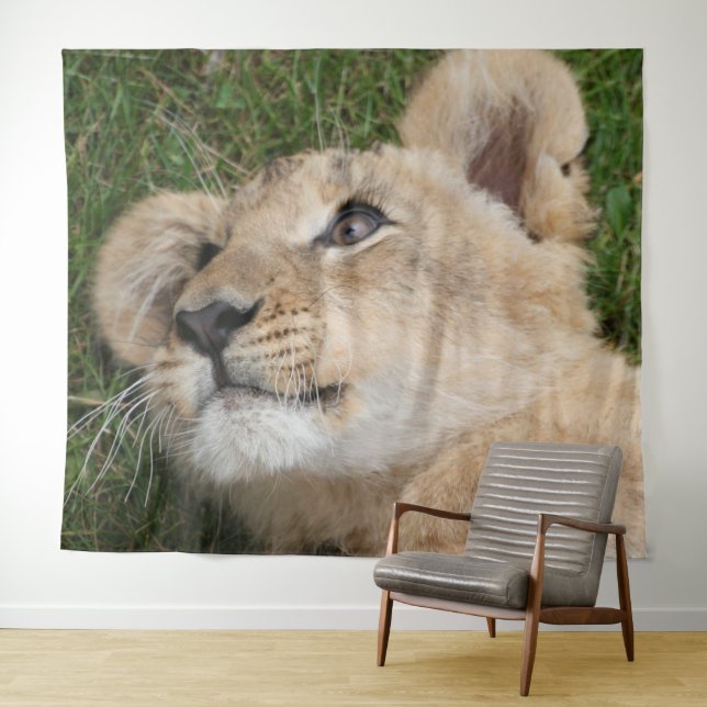 Tapiz Lion 022 (In situ (horizontal))