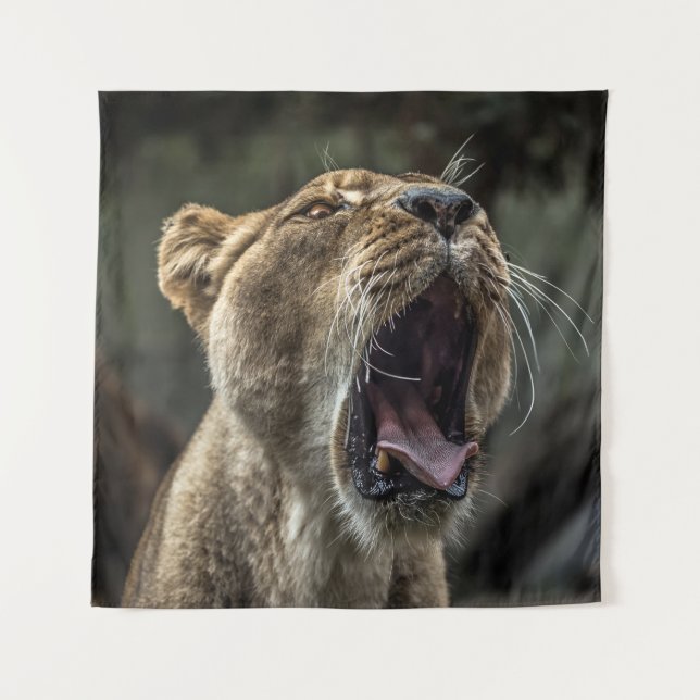 TAPIZ LIONESS YAWNING (Anverso)