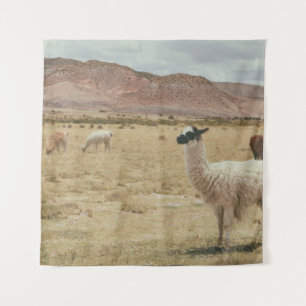 TAPIZ LLAMA BLANCA EN GRASA MARRONA