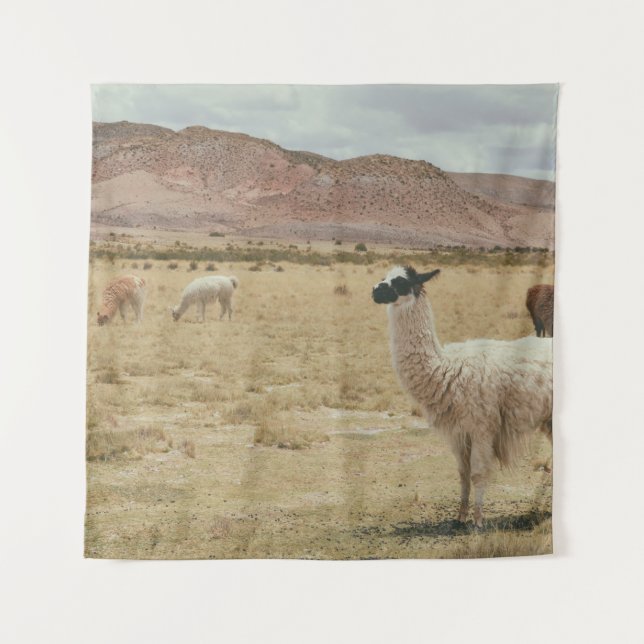 TAPIZ LLAMA BLANCA EN GRASA MARRONA (Anverso)