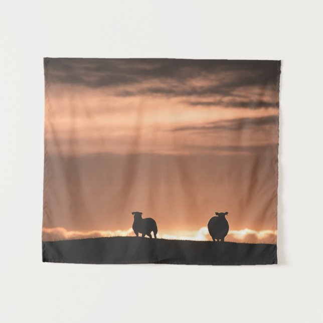 Tapiz Lofoten Sunset Sheep Nature Foto (Anverso (horizontal))