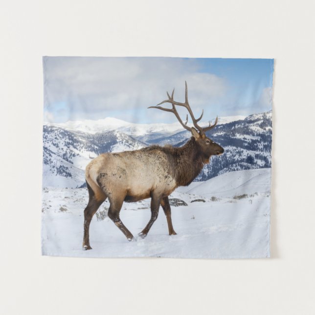 Tapiz Lone Bull Elk | Parque nacional Yellowstone (Anverso (horizontal))