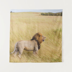 TAPIZ LONES MARRONES SOBRE EL CAMPO DE GRASA DURANTE EL