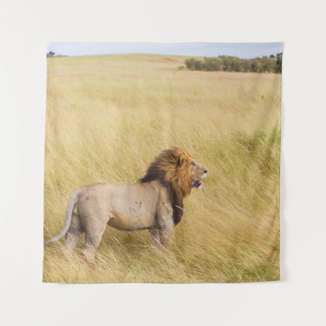 TAPIZ LONES MARRONES SOBRE EL CAMPO DE GRASA DURANTE EL  (Anverso)