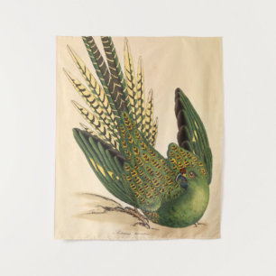Tapiz Loro de tierra de James Sowerby, Psittacus terrest