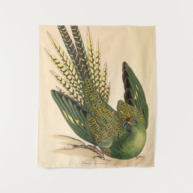 Tapiz Loro de tierra de James Sowerby, Psittacus terrest (Anverso)