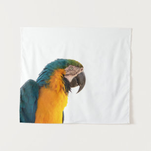 Tapiz Loro guacamayo azul