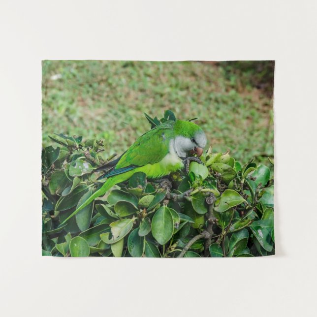 Tapiz Loro verde (Anverso (horizontal))