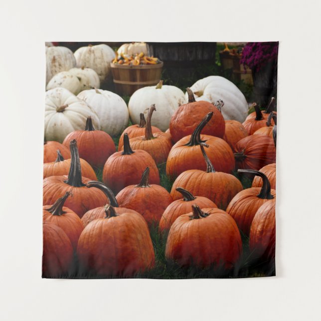 TAPIZ LOTE DE PUMPKIN (Anverso)