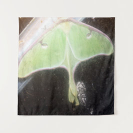 Tapiz Luna Moth en Primer Plano