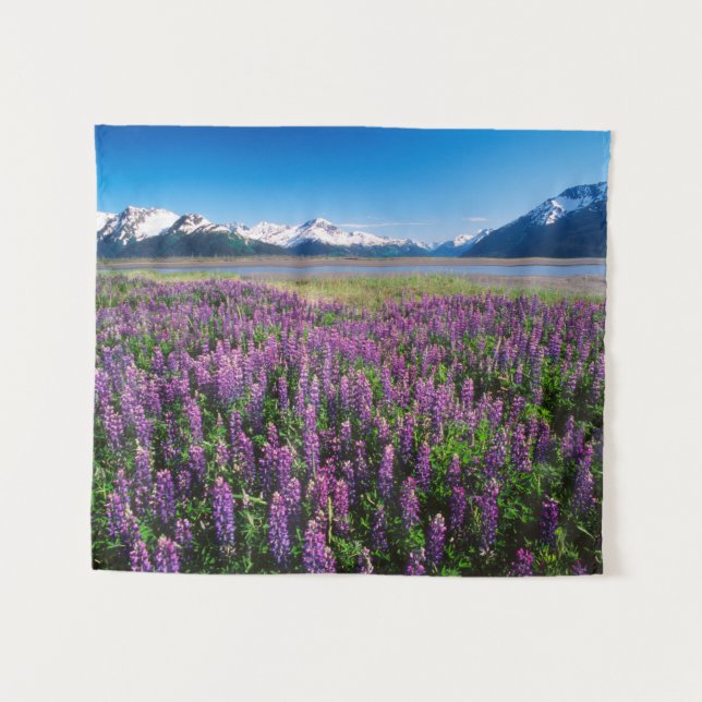 Tapiz Lupines en flor | Montañas Kenai, Alaska (Anverso (horizontal))