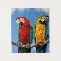 Macao azul y amarillo y macao escarlata