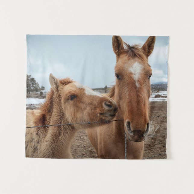 Tapiz Madre caballo y potro (Anverso (horizontal))