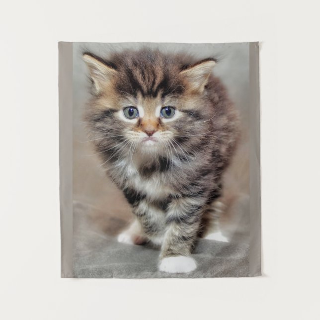 Tapiz Maine Coon ‎ Kitten (Anverso)