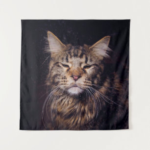 Tapiz maine coon sobre un fondo negro joven, gato, c