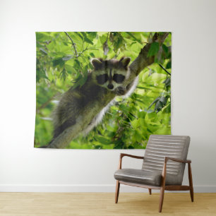 Tapiz Mapache en árbol verde Mapache gris con máscara ad