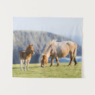 Tapiz Mare with Foal, islas Shetland, Escocia