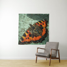 Mariposa de Tortoiseshell pequeña