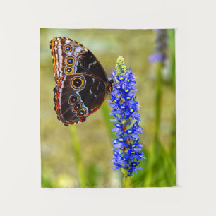 Tapiz Mariposa morfo azul en una orquídea de mariscos