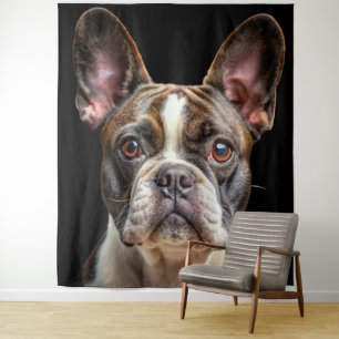 Tapiz Mascotas Perros Bulldogs Franceses Fondo