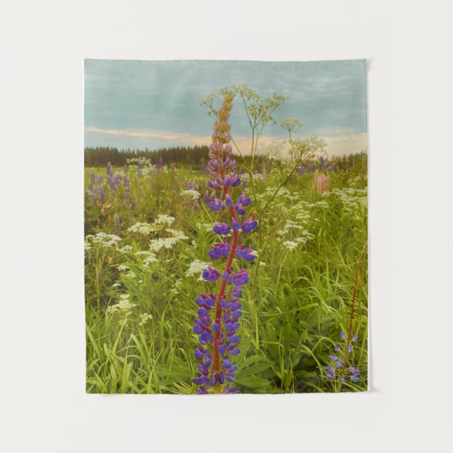 Tapiz Medio verano en Halsingland (Anverso)