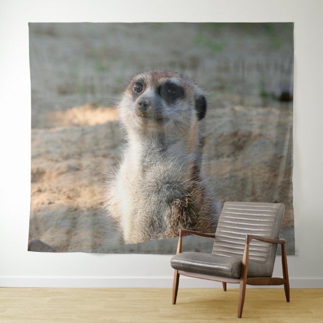 Tapiz Meerkat 004 (In situ (horizontal))