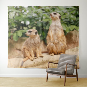 Tapiz Meerkat 009
