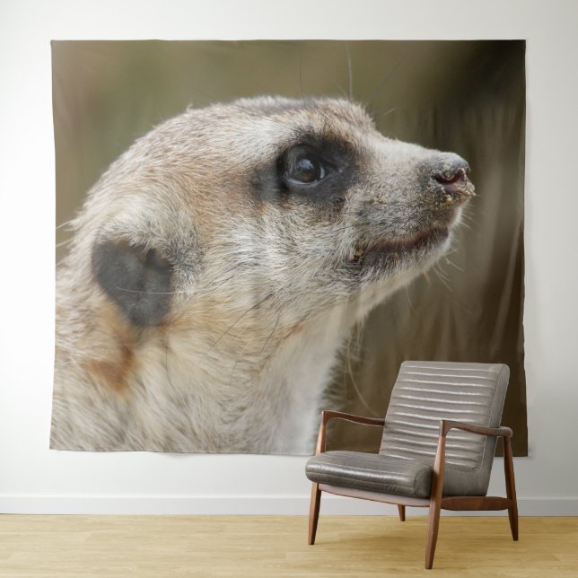 Tapiz Meerkat 028 (In situ (horizontal))